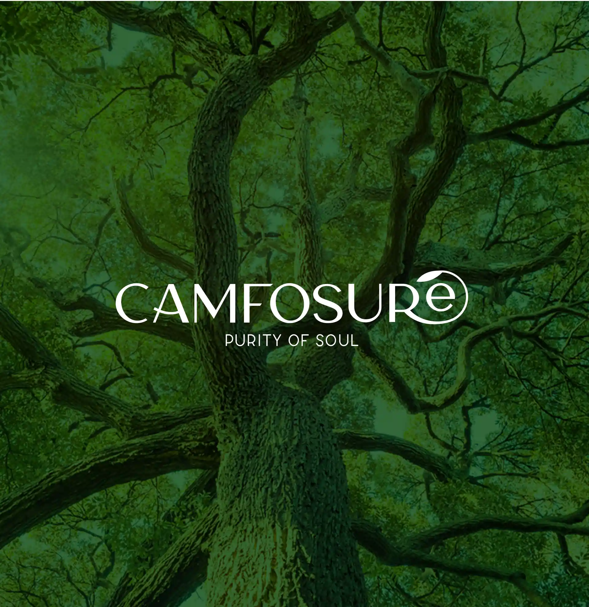 At Creativeline, a creative branding agency in Gandhinagar, India, we developed the logo design for Camfosure, a premium camphor-based air freshener brand for home and car use. The objective was to create a clean, modern, and refreshing brand identity that reflects purity, fragrance, and comfort. The logo design focuses on simplicity and elegance, capturing the essence of natural camphor while ensuring strong brand recall across packaging and marketing applications. As a trusted logo design and branding agency serving Gandhinagar and Ahmedabad, Creativeline specializes in building distinctive brands through strategic design and impactful visual identity systems.