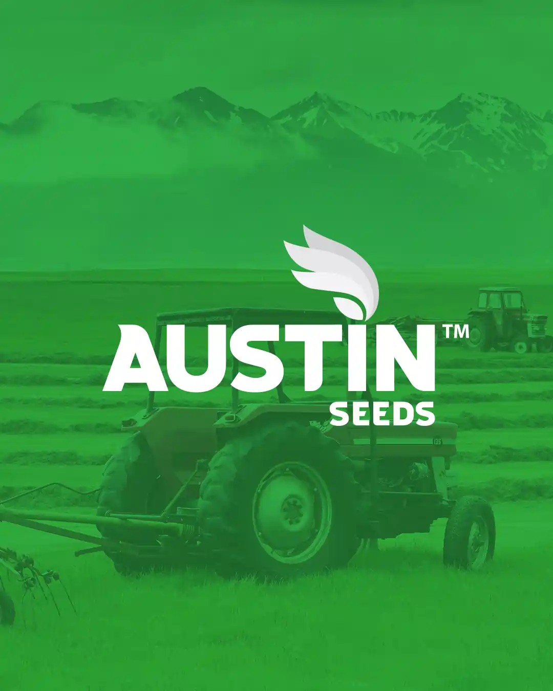 Austin – Logo & Packaging Design At Creativeline, a creative branding and packaging design agency in Gandhinagar, India, we developed the logo design and packaging design for Austin, a brand offering high-quality agriculture seeds for farmers. The objective was to create a strong and trustworthy brand identity that reflects growth, productivity, and reliability. The logo and packaging design were crafted to communicate quality and performance while ensuring clarity and visibility for farmers in real-world retail environments. As a leading branding, logo design, and packaging design agency serving Gandhinagar and Ahmedabad, Creativeline specializes in building impactful agri and FMCG brands through strategic design and effective visual communication.